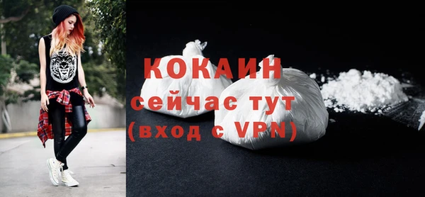 трава Гусиноозёрск