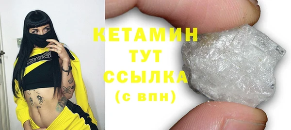 трава Гусиноозёрск