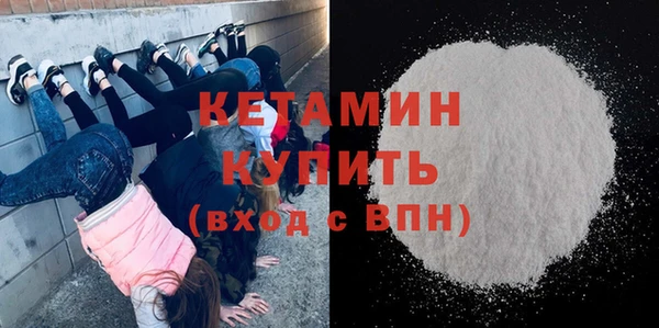 трава Гусиноозёрск