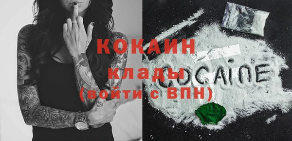 кокс Дмитриев